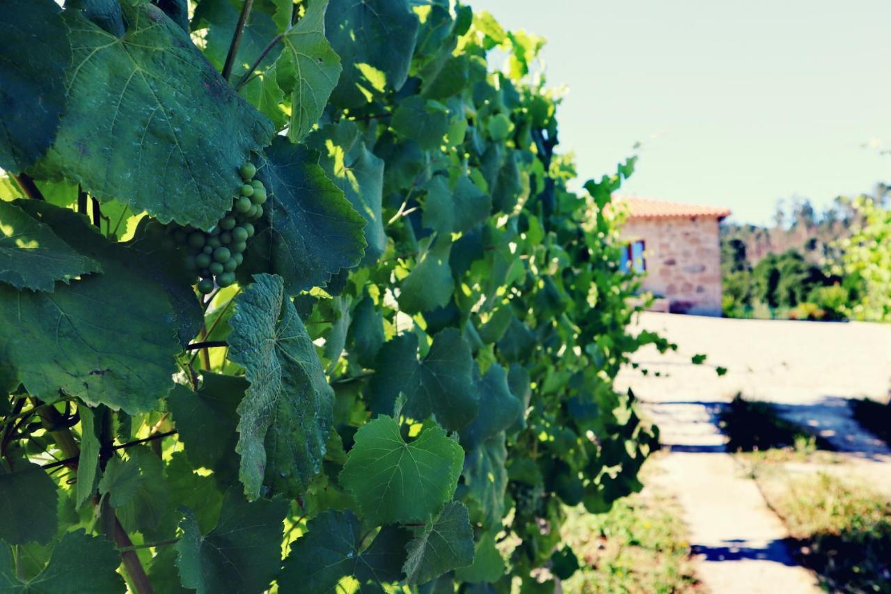 Quinta De Real Villa Valenca Exterior photo